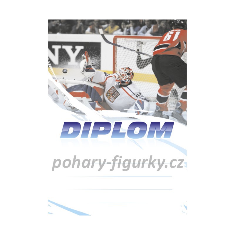 Diplom hokej 6608