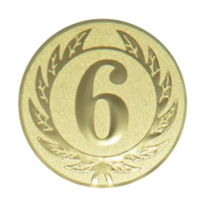emblém 6. místo 099