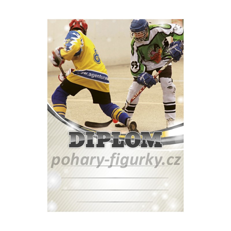 Diplom hokejbal 6613