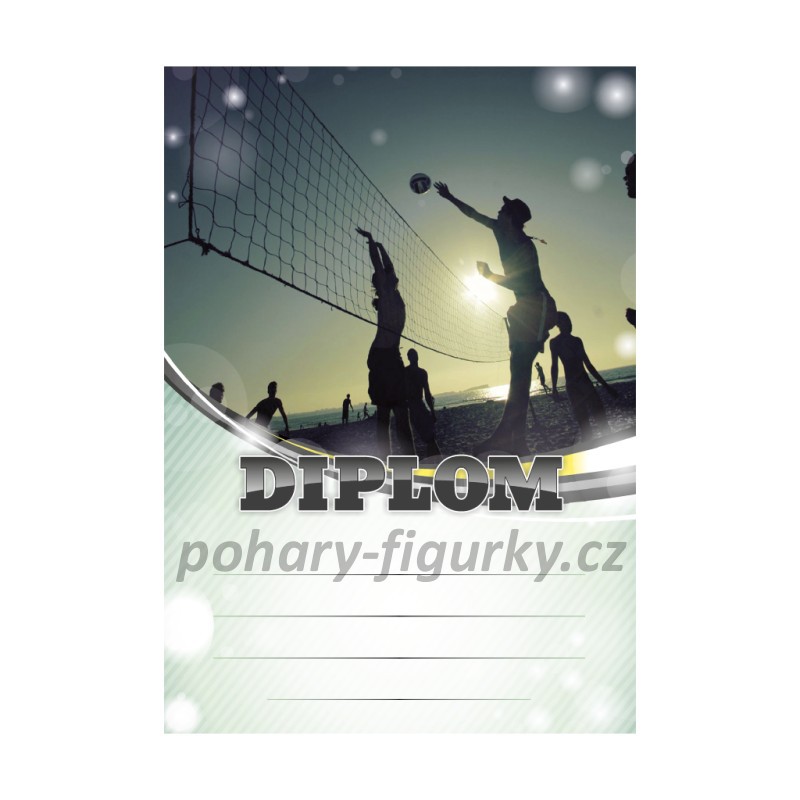 Diplom beach volleyball 6637