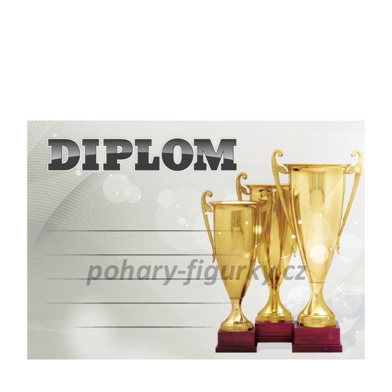 Diplom univerzální s pohárem 6714