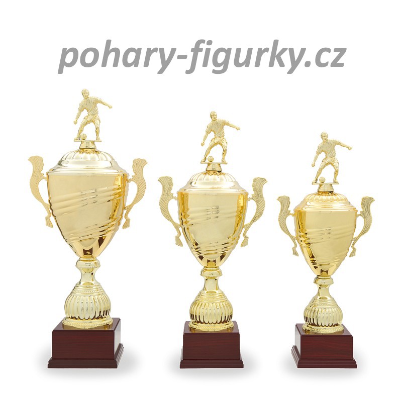 Sportovní pohár fotbal 32526