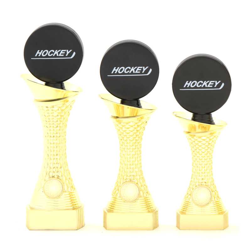 Sportovní trofej hokej 16027