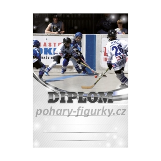 Diplom hokejbal 6611