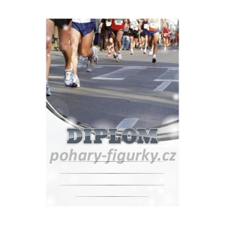Diplom maraton 6630