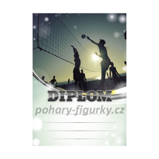 Diplom beach volleyball 6637