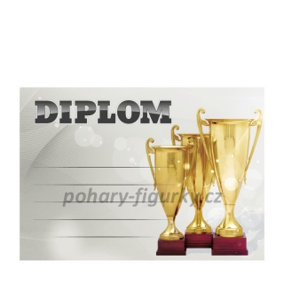 Diplom univerzální s pohárem 6714