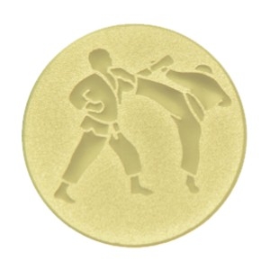 emblém karate 029
