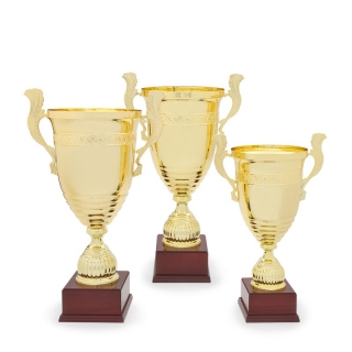 Sportovní pohár exkluziv 25026