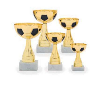 Pohár edice FOTBAL 32503